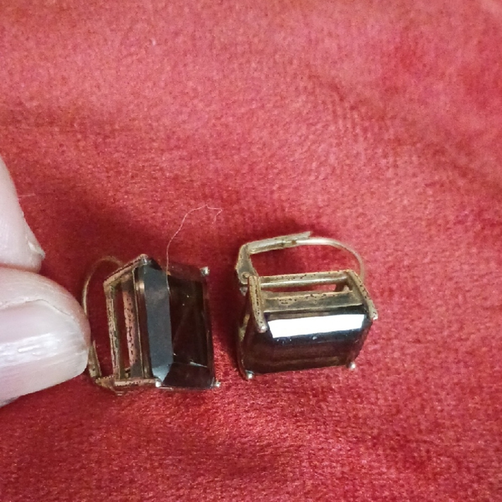 Elegant Gold and Brown Earrings